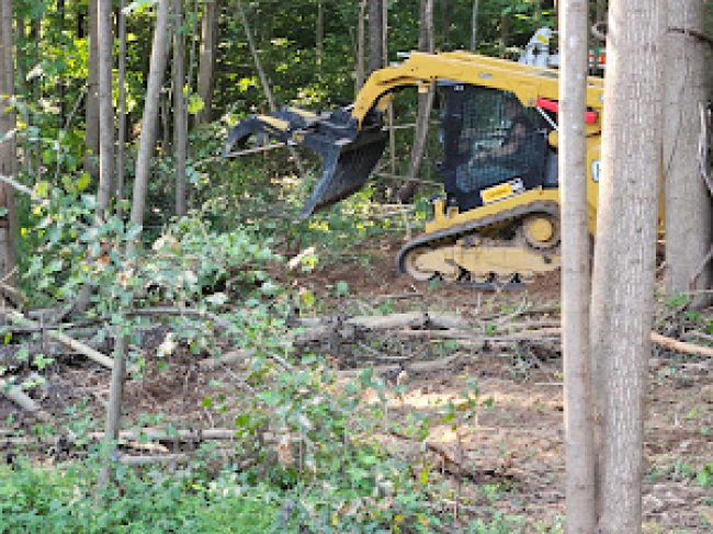 skid steer doing land clearing